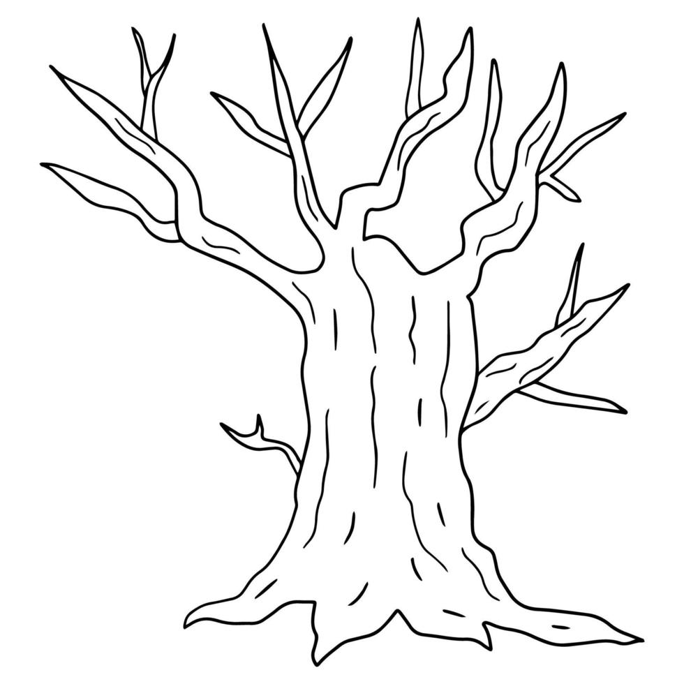 Cartoon hand drawn doodle bare old tree vector