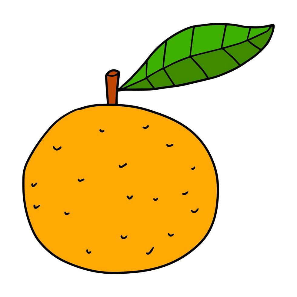 dibujos animados dibujados a mano doodle naranja con hoja. vector