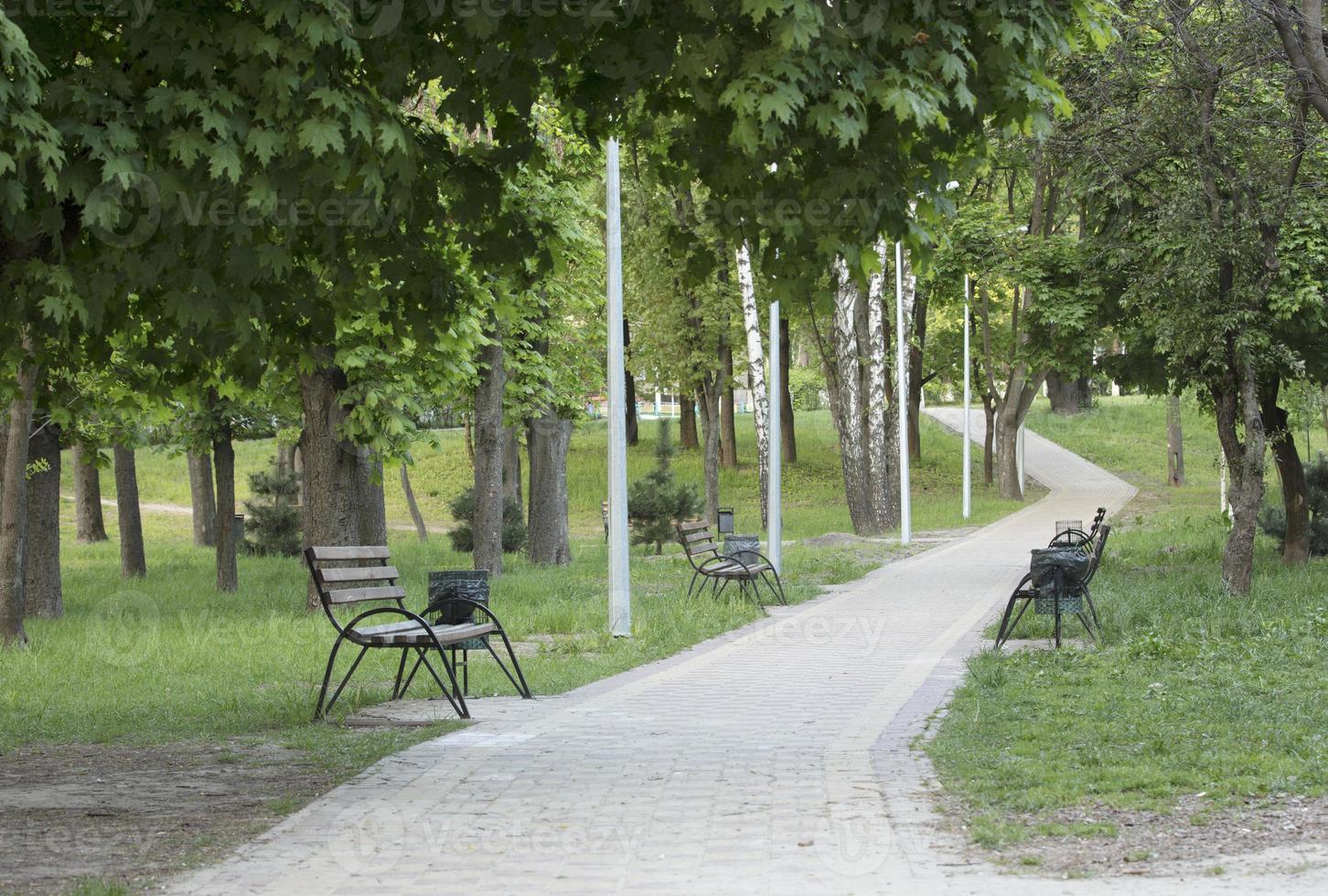 The laid road with wooden benches leaves into the distance in the city summer park photo