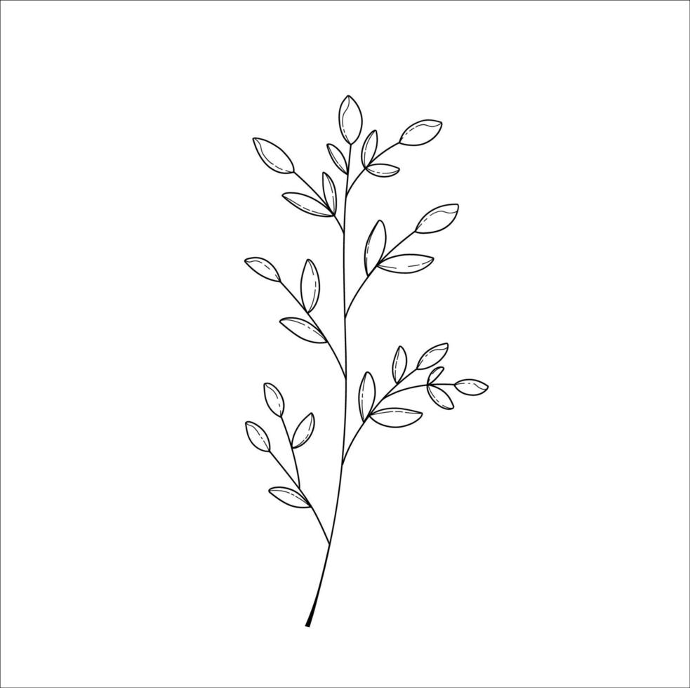 collection of flowers and leaf in continuous line art drawing style vector