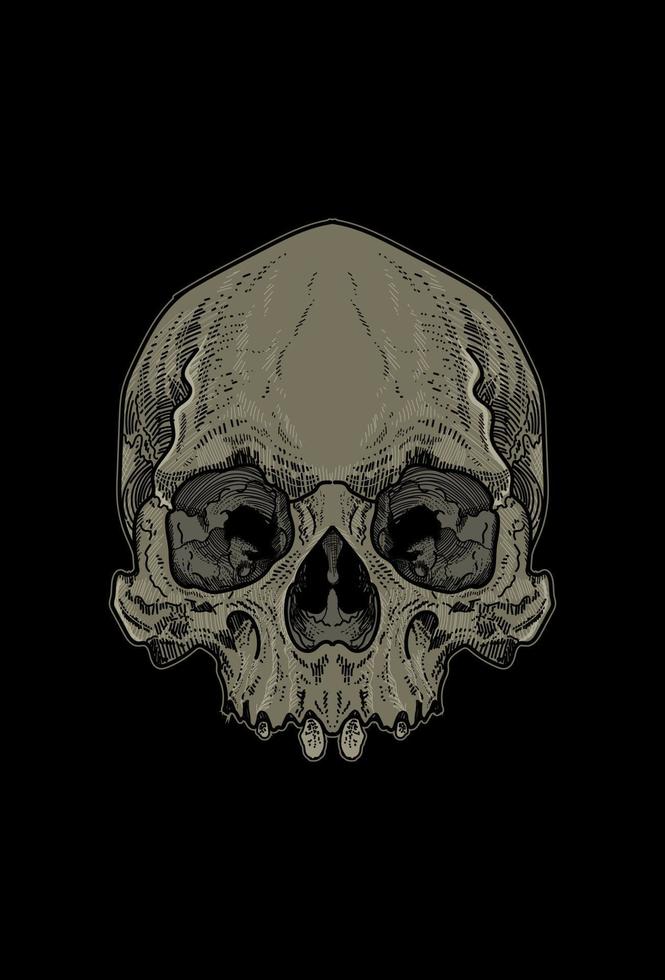 Skull artwork illustration hand drawing vector