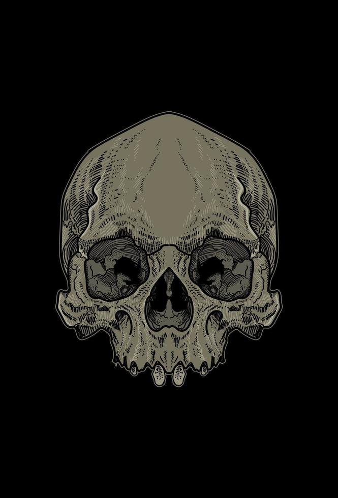 Skull artwork illustration hand drawing vector