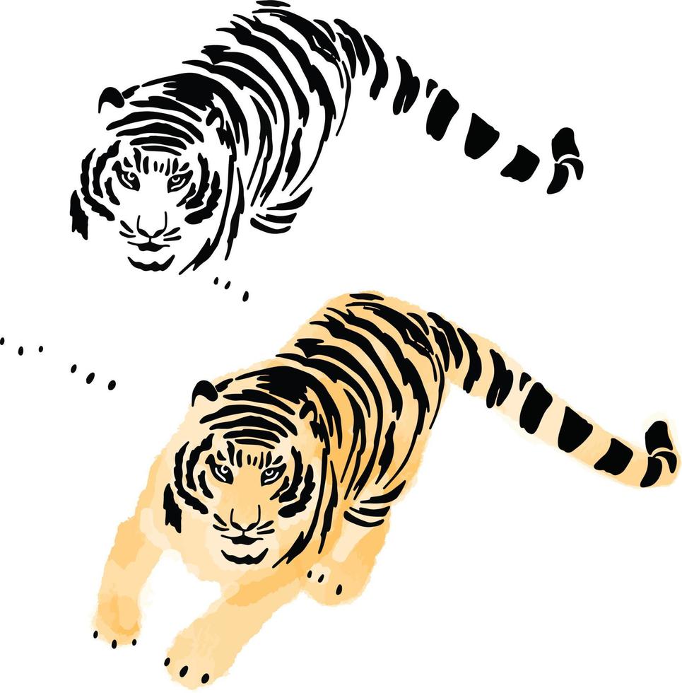 The year of tiger vector