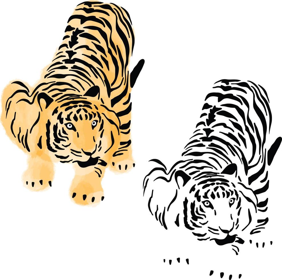 el año del vector de pintura de mano de tigre