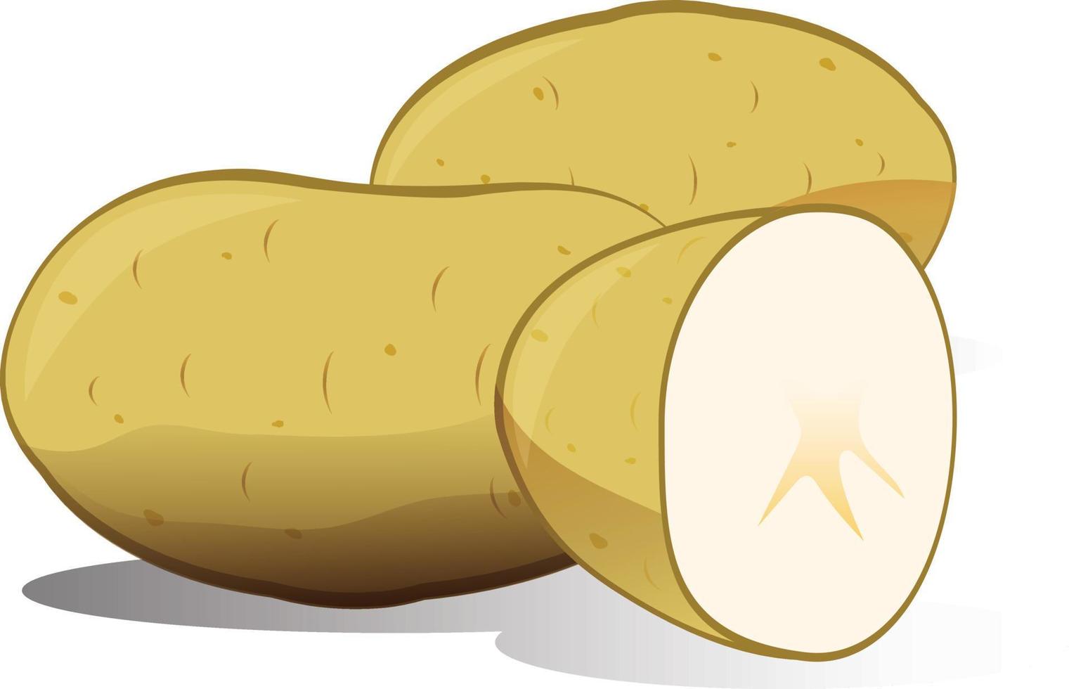 Vector Illustration of Potatoes and half Potato