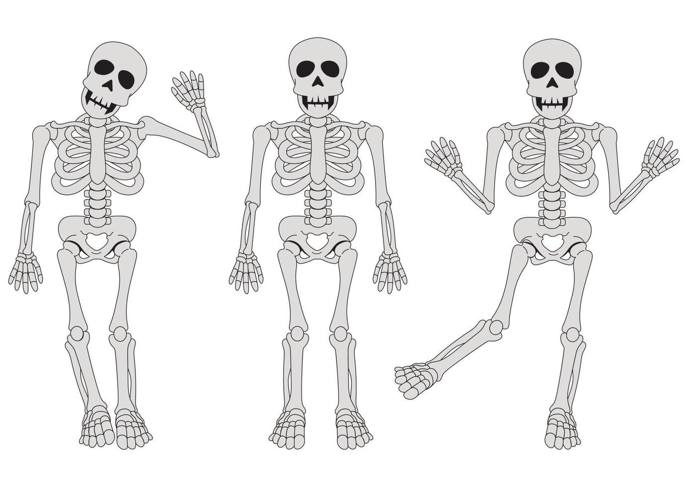 Three funny skeletons in different position. Clipart Skeleton vector