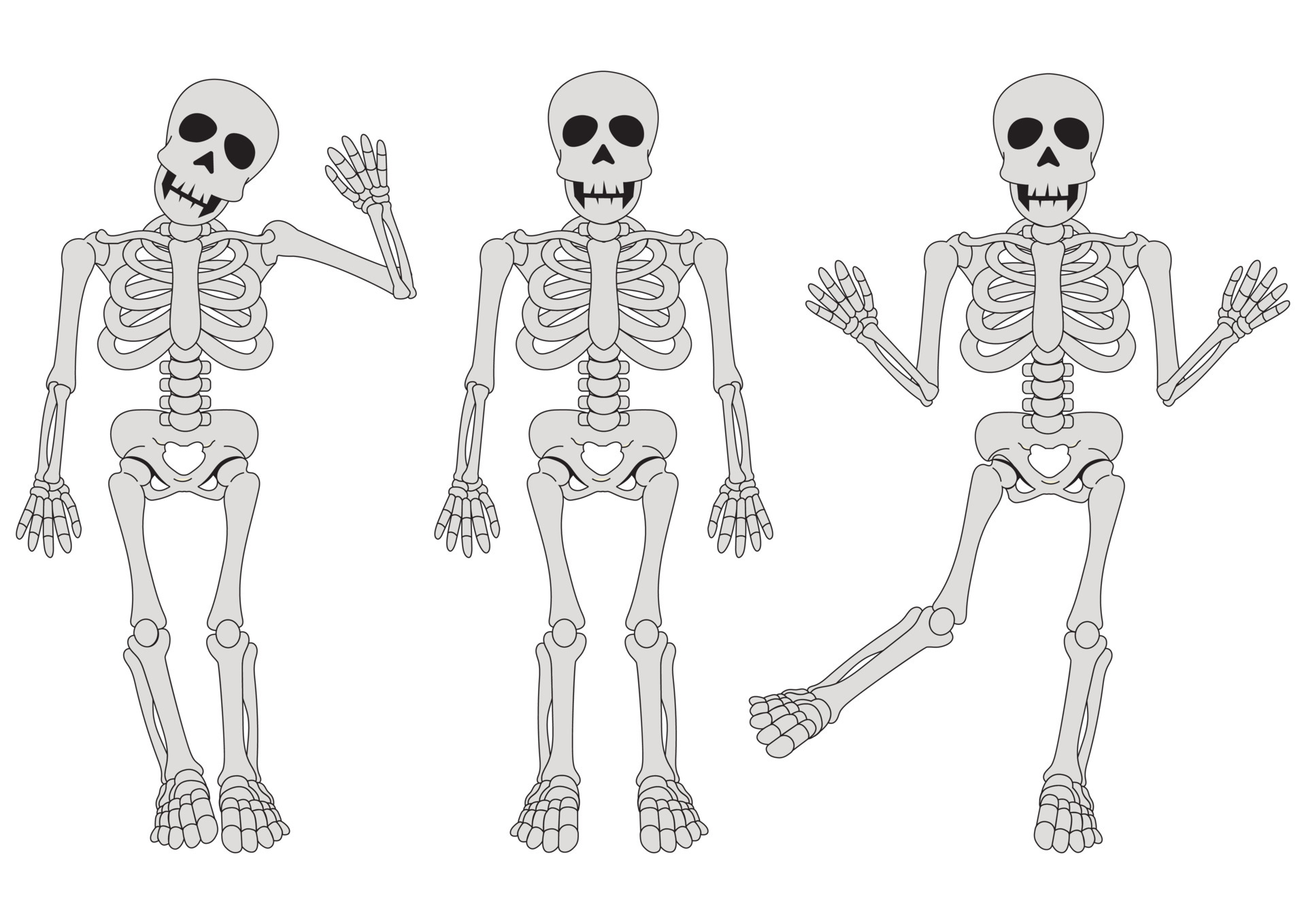 Three funny skeletons in different position. Clipart Skeleton 4707476  Vector Art at Vecteezy