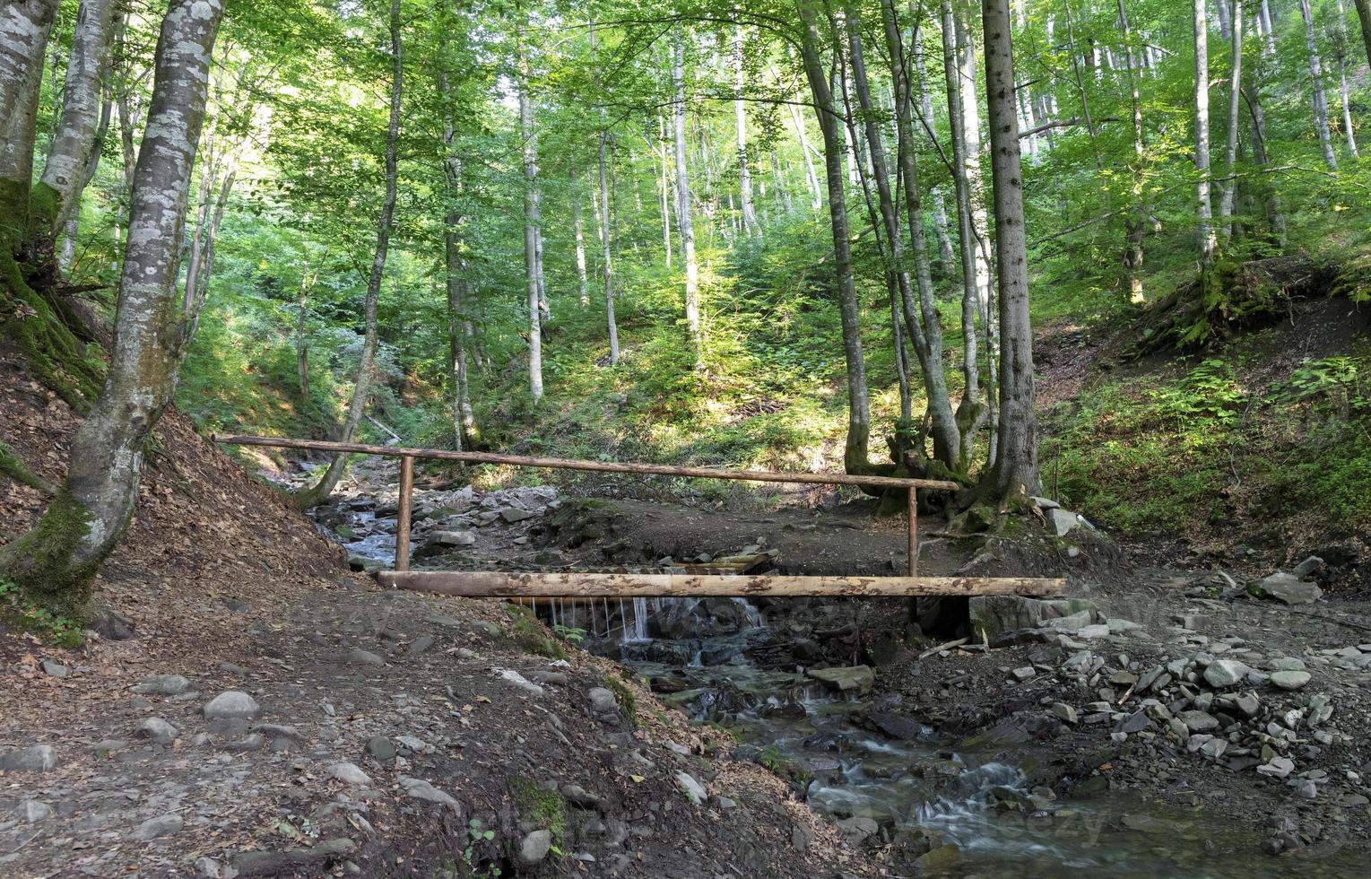 Un pequeño puente de madera sobre un arroyo entre matorrales entre las colinas de los Cárpatos. foto