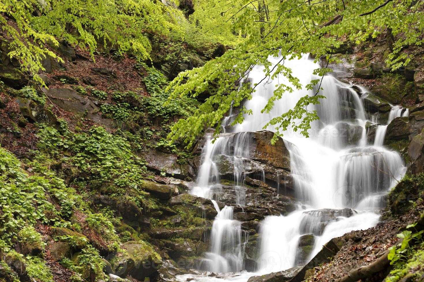 poderosa cascada en los Cárpatos del río de montaña en Ucrania. foto