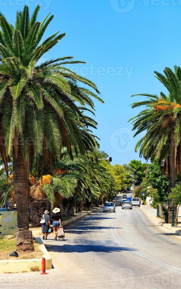 a lo largo de la carretera, crece un callejón de palmeras datileras, los coches van por la carretera, las hembras caminan, violando las normas de tráfico, una imagen vertical. foto