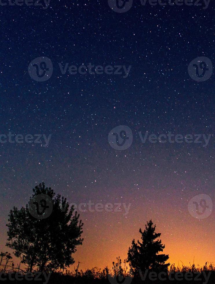 Silhouettes of low trees against the background of the night starry sky and the setting sun. photo