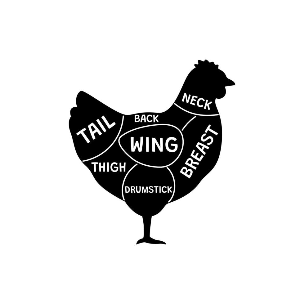 Cut meat chicken, silhouette bird, contour pieces hen. Diagram raw chicken meat for butcher. Household bird farm. Whole chick from leg, wing, breast, drumstick, tail, neck. Vector illustration