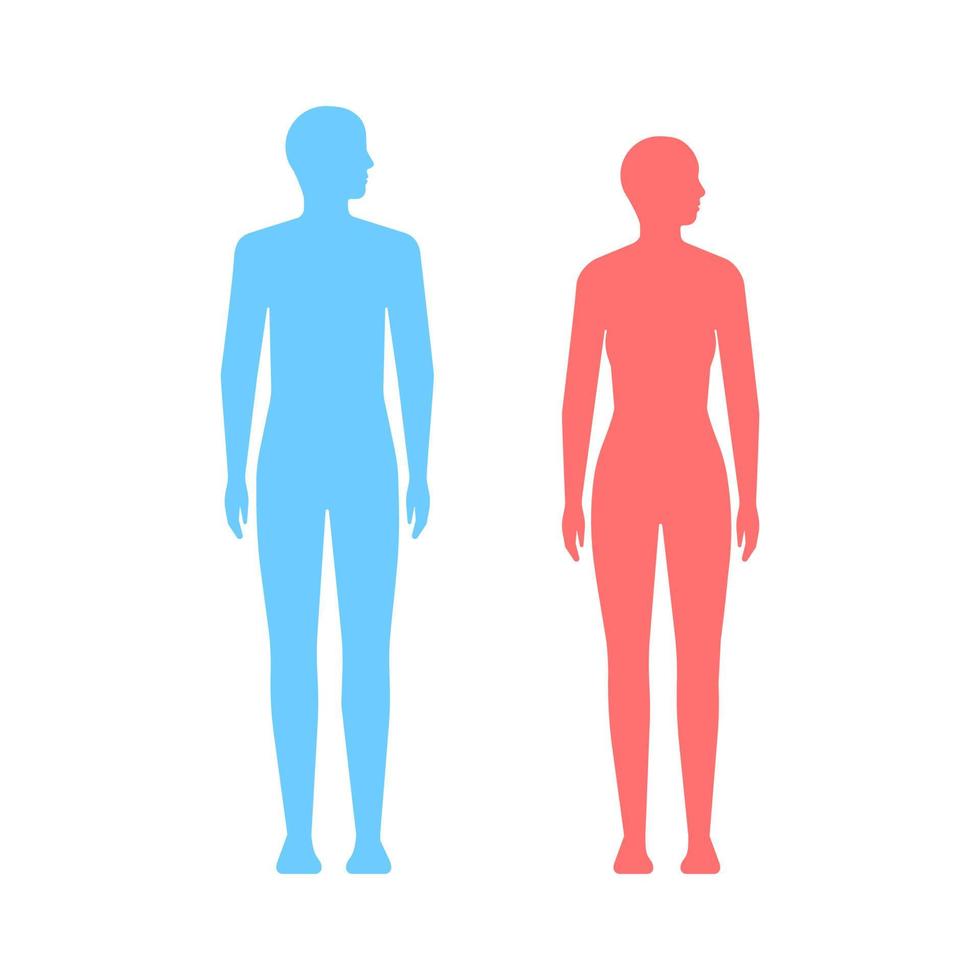 gente silueta cuerpo hombre y mujer. silueta de figura diferente, físico. ilustración vectorial vector