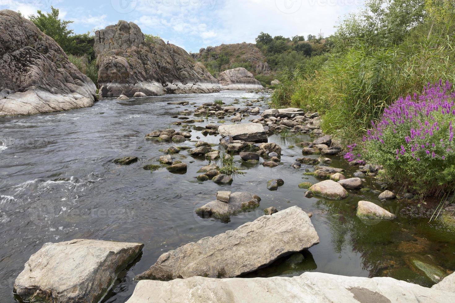 Granite and basalt rock formations and bright green vegetation with a flowering shrub on the banks of the fast river Southern Bug. Ukraine photo