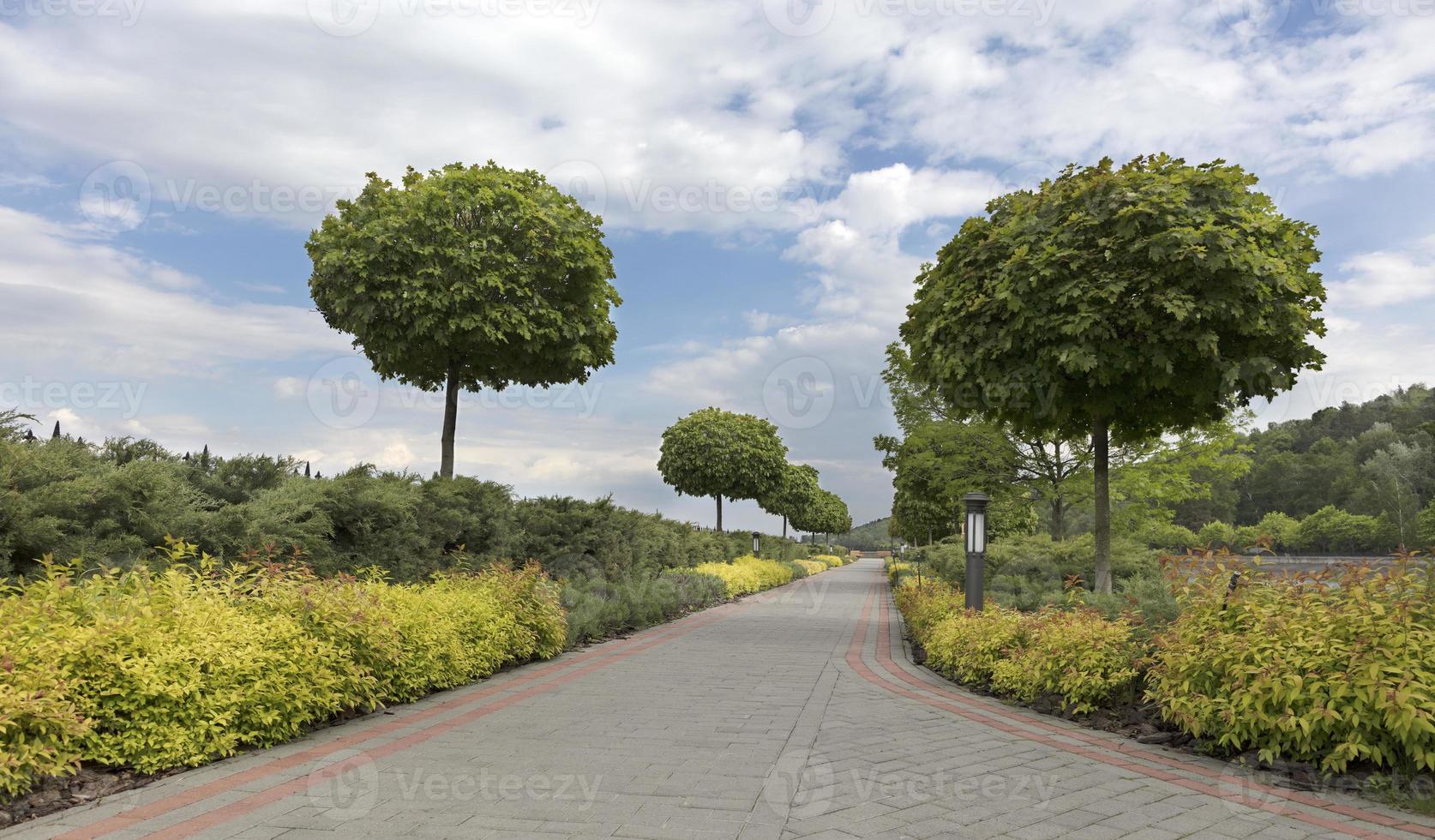 un camino pavimentado y escalonado enmarcado con arbustos y árboles recortados en un hermoso parque foto