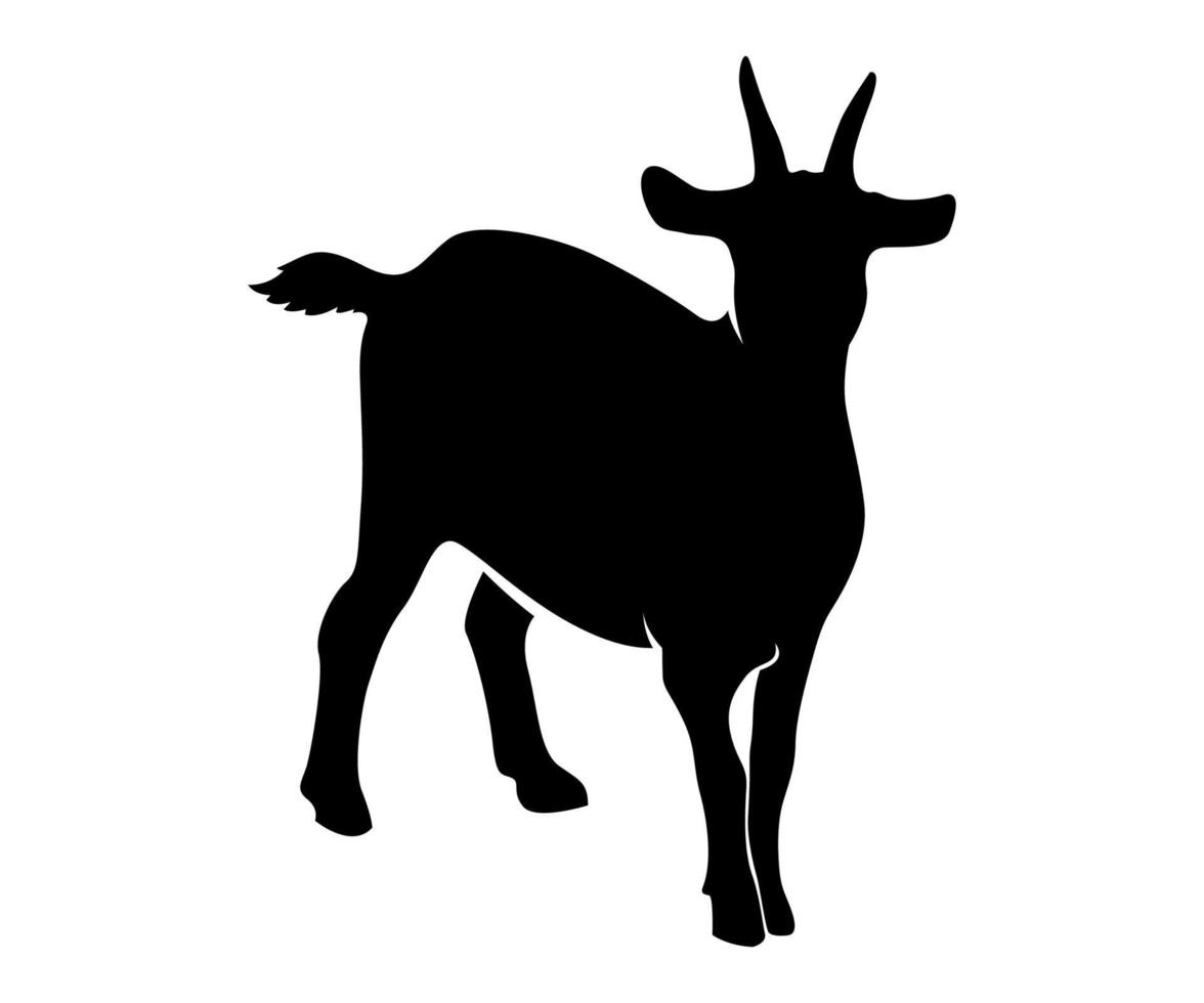 goat facing forward, goat silhouette, goat illustration design vector
