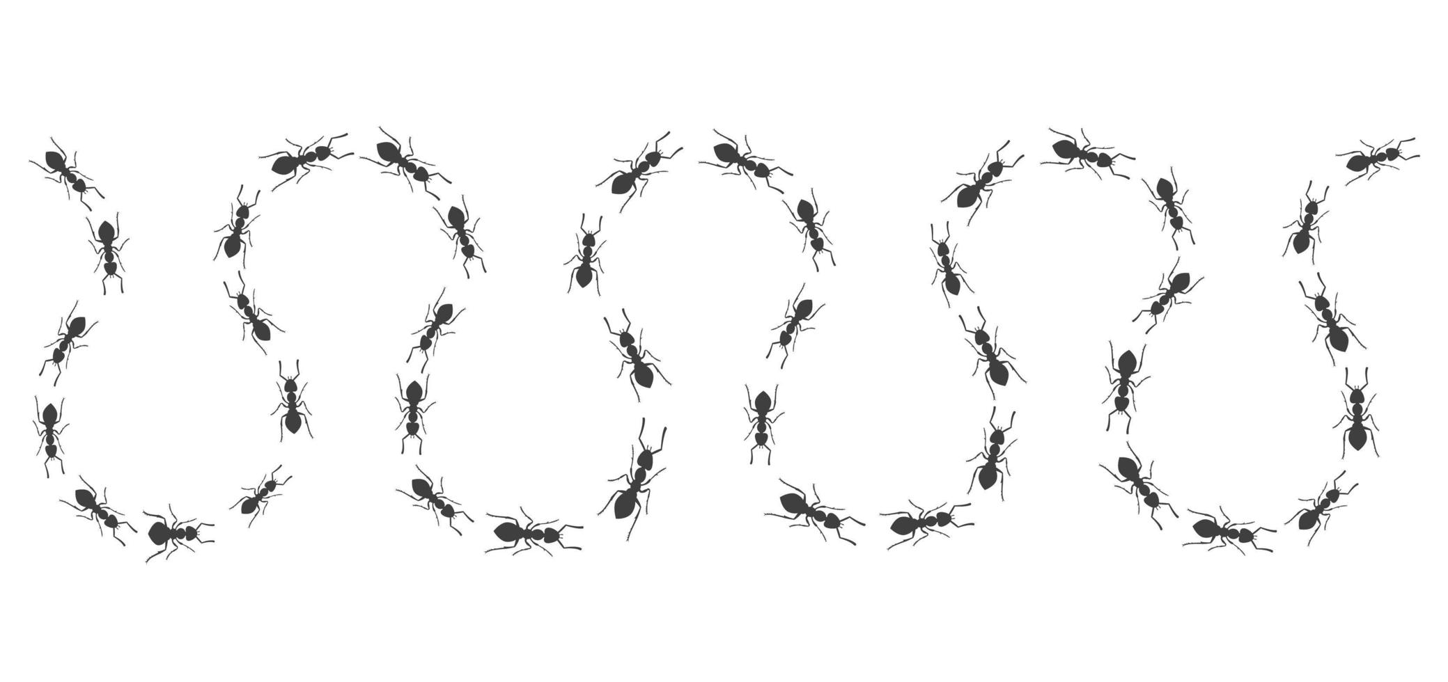 A winding trail of ants. Insects march along the line. Vector