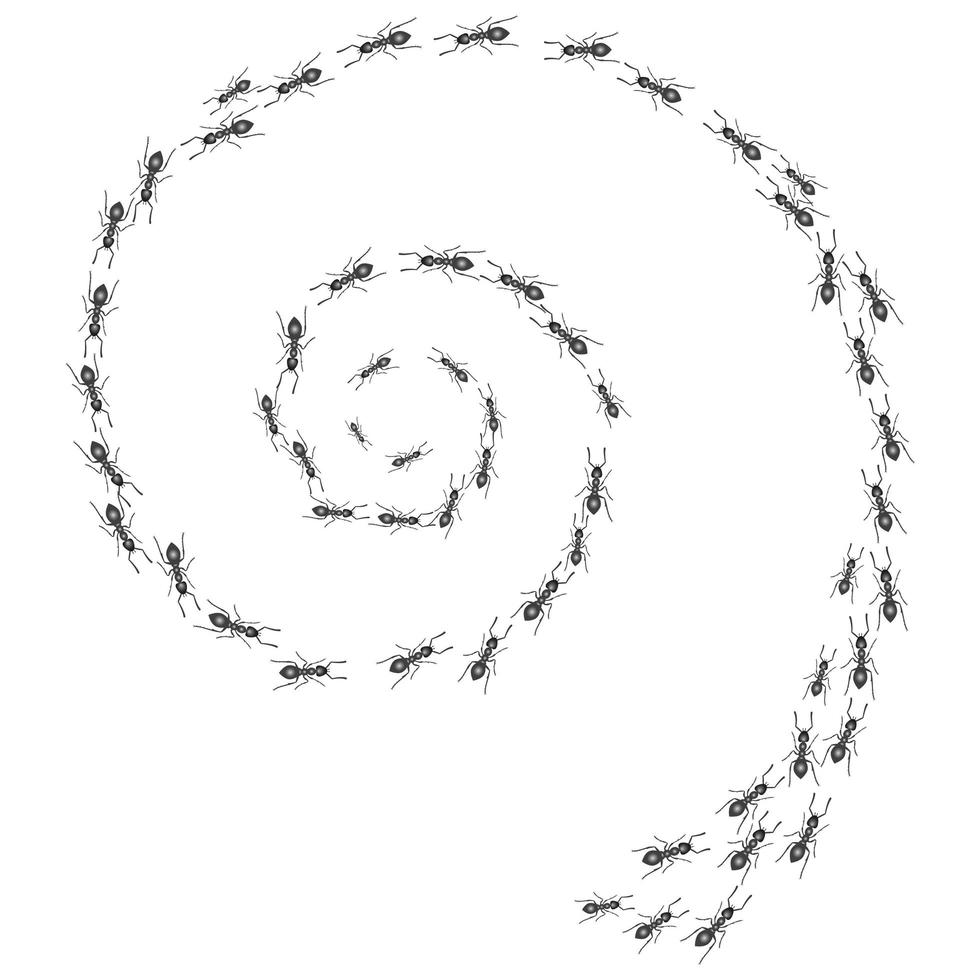 A trail of ants. Insects march along the swirl line. Vector