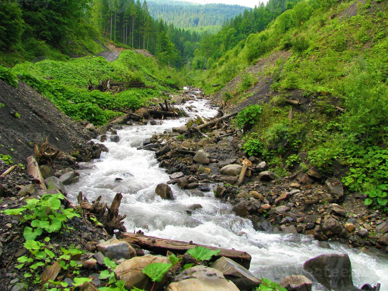 A cascade of boulders and old logs on the path of a fast mountain river between the hills of the Carpathian Mountains. photo