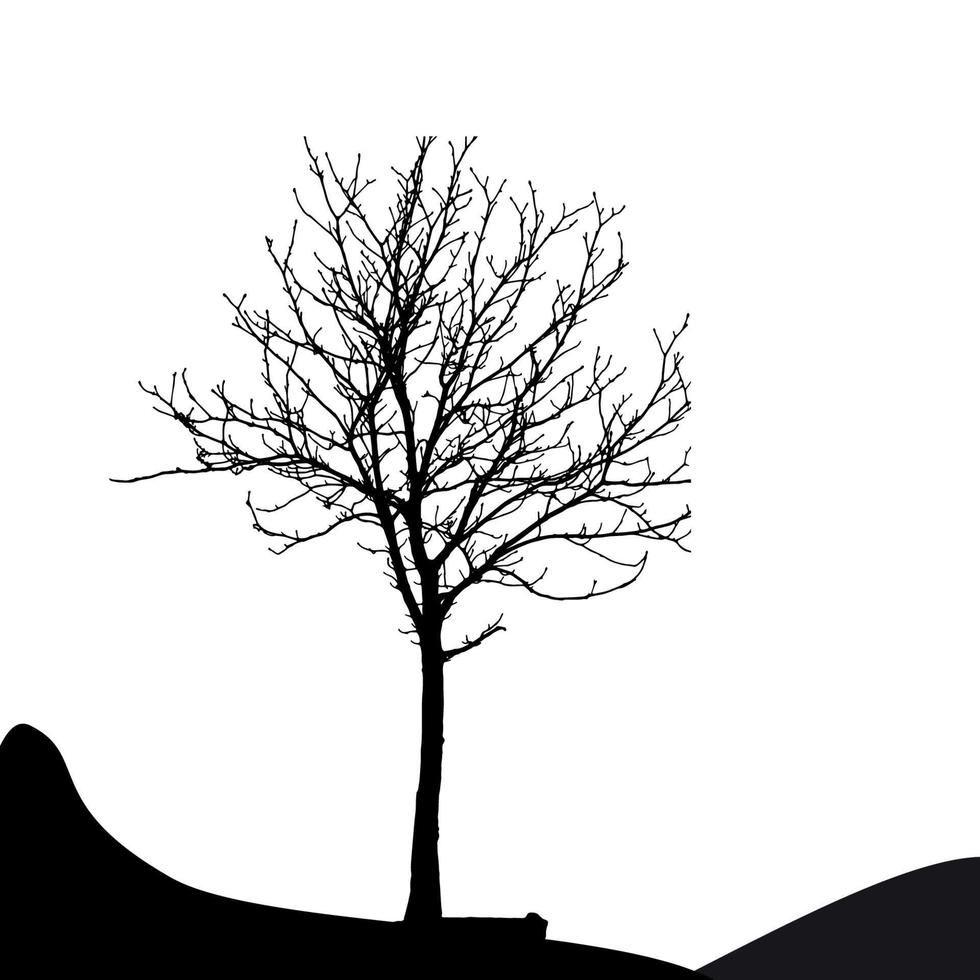 Tree Silhouette Isolated on White Backgorund. Vecrtor Illustrati vector