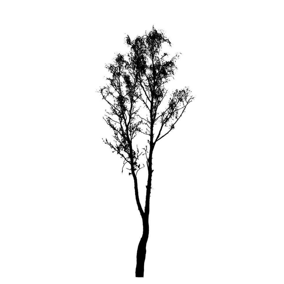 Tree Silhouette Isolated on White Backgorund. Vecrtor Illustrati vector