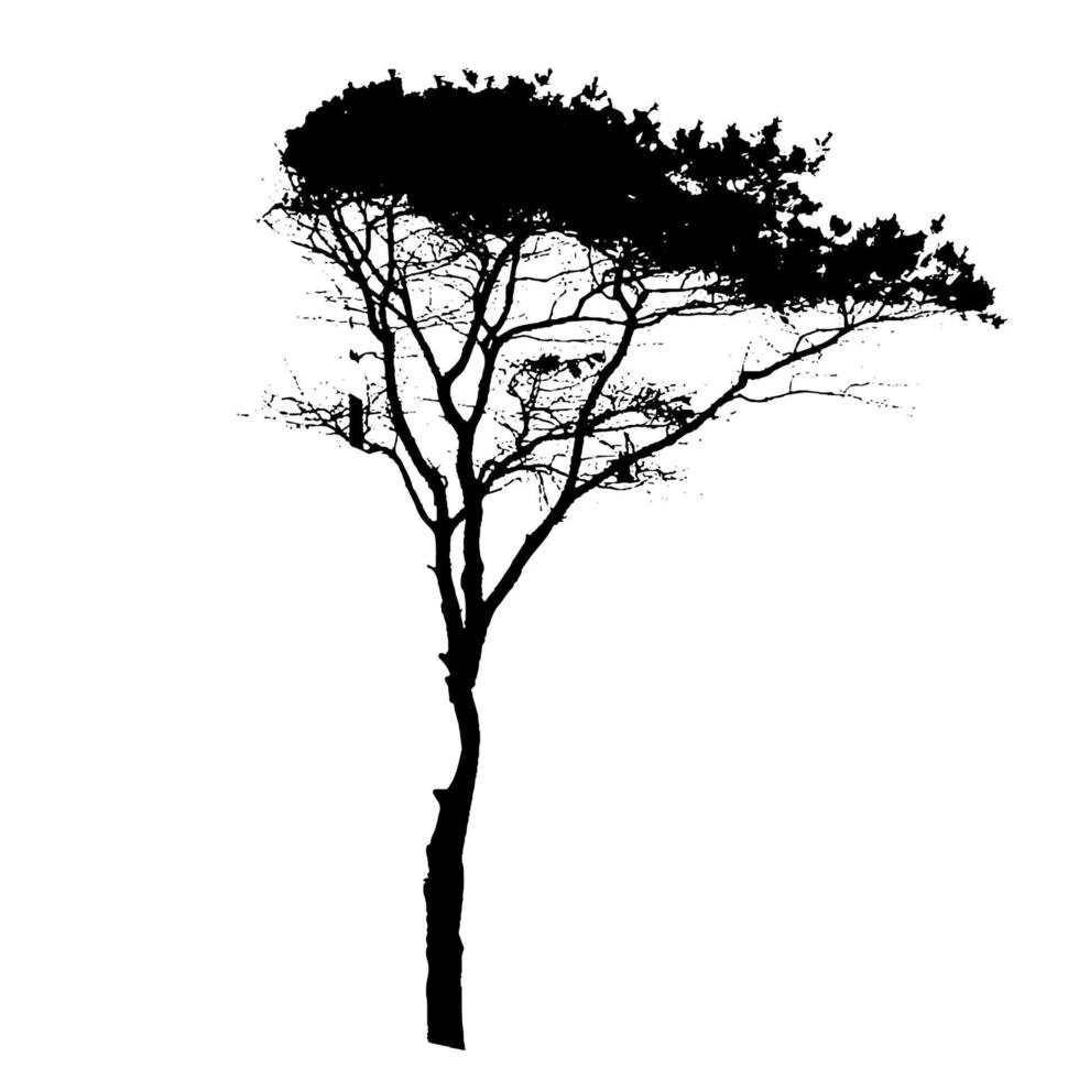 Tree Silhouette Isolated on White Backgorund. Vecrtor Illustrati vector