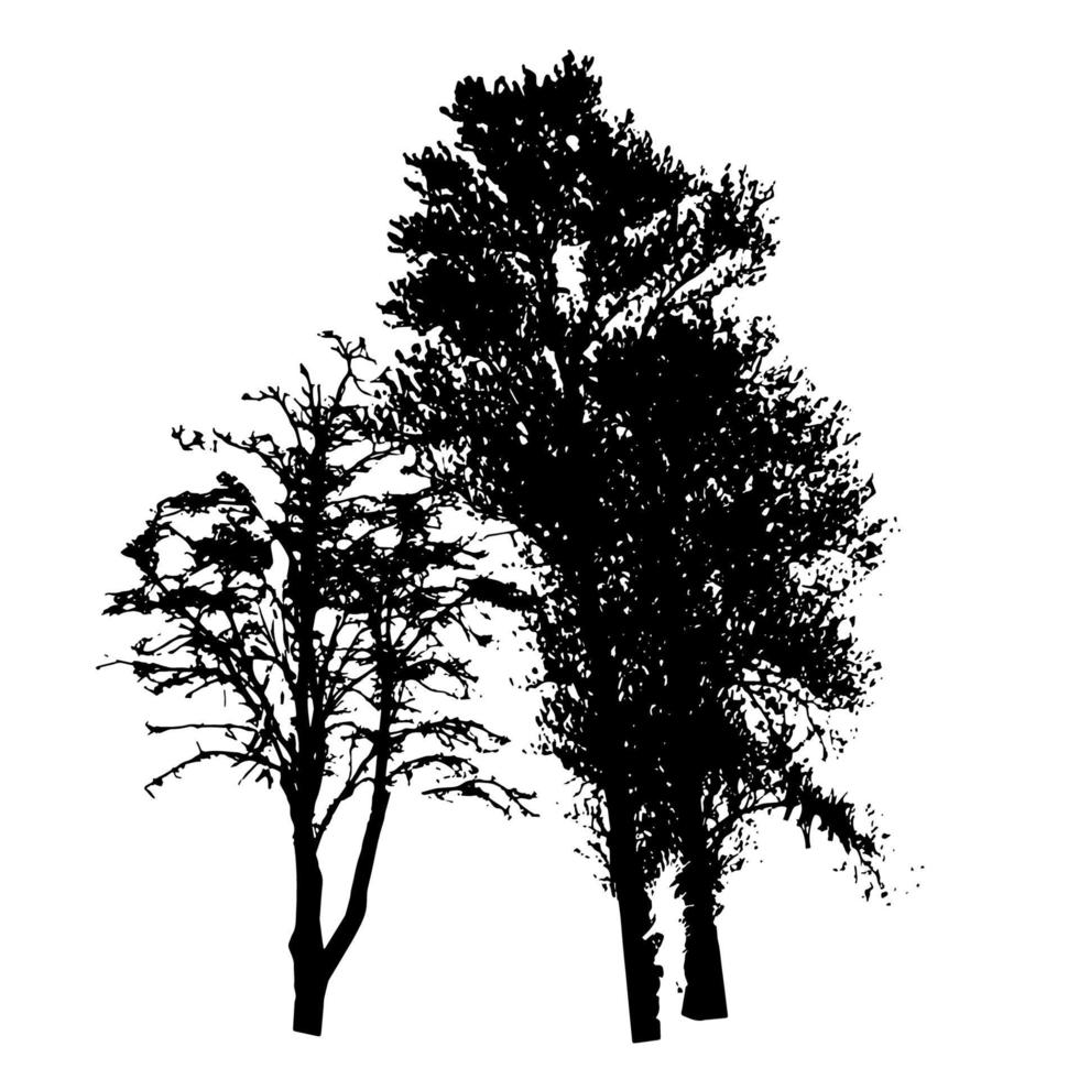 Tree Silhouette Isolated on White Backgorund. Vecrtor Illustrati vector