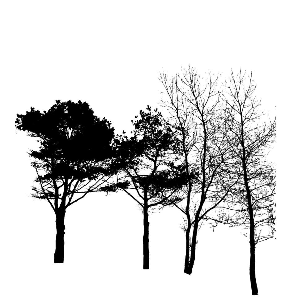 Tree Silhouette Isolated on White Backgorund. Vecrtor Illustrati vector