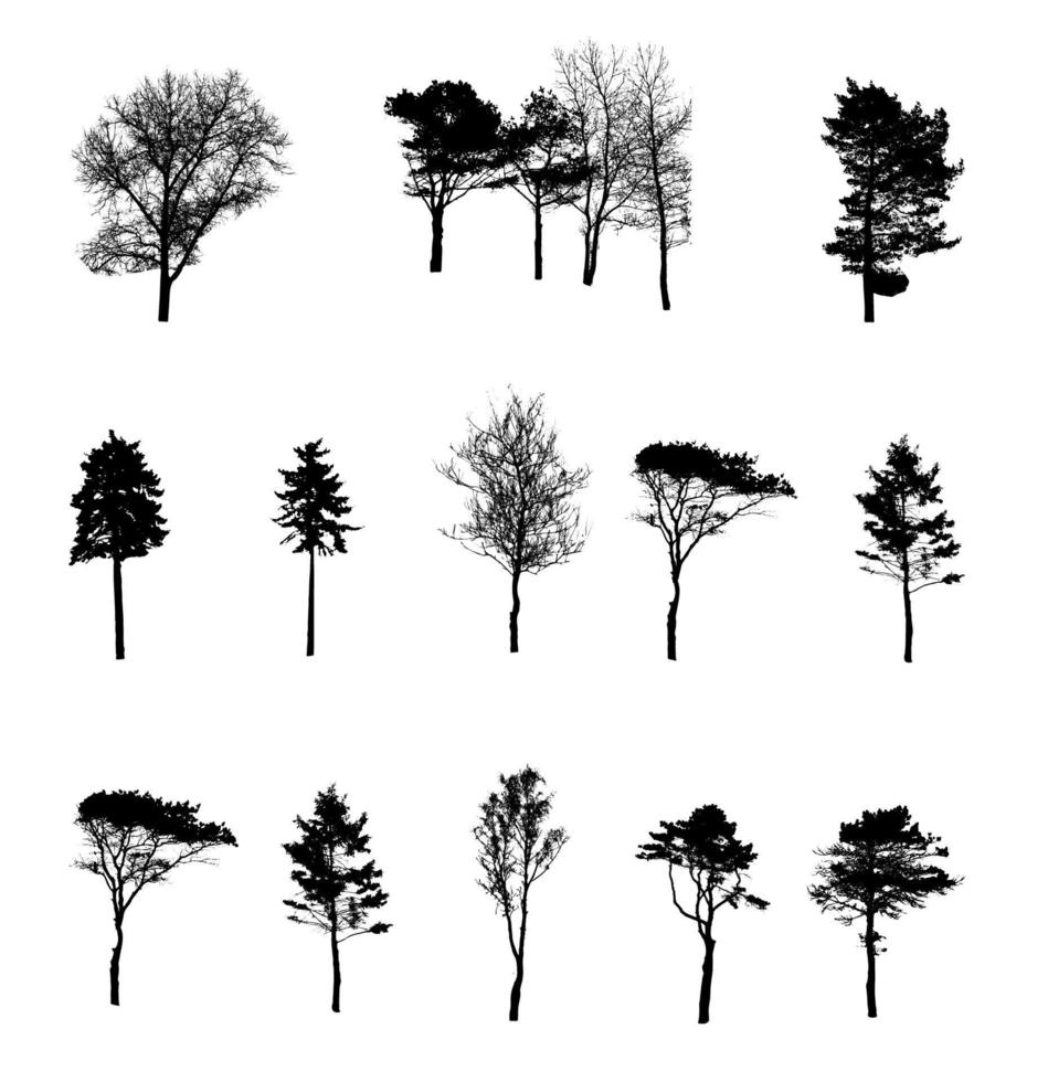 Set of Tree Silhouette Isolated on White Backgorund. Vecrtor Ill vector