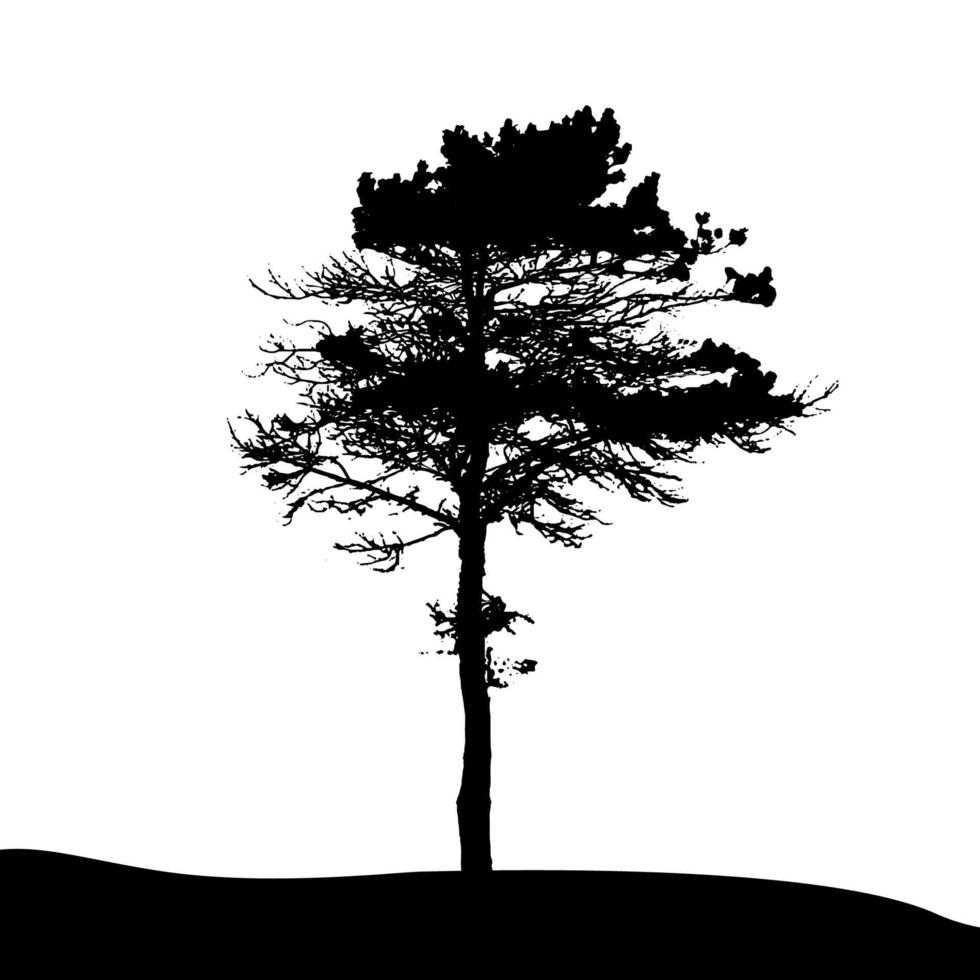 Tree Silhouette Isolated on White Backgorund. Vecrtor Illustrati vector