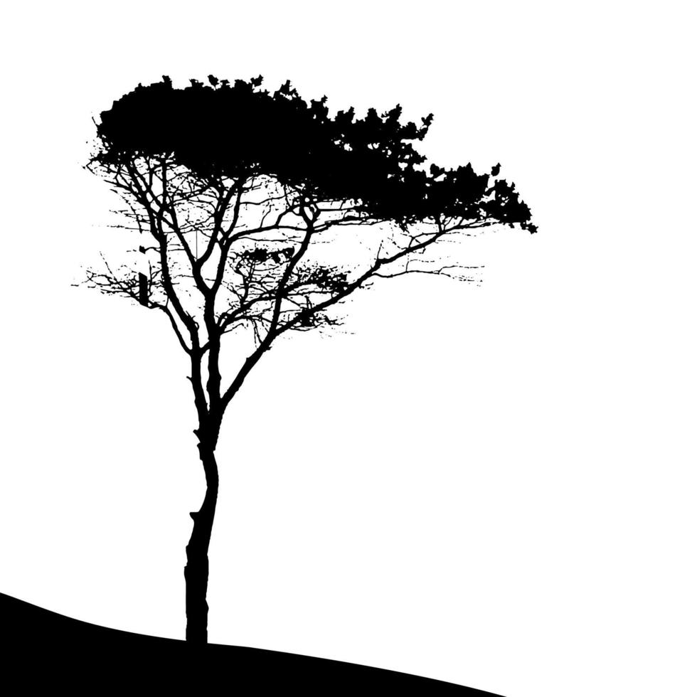 Tree Silhouette Isolated on White Backgorund. Vecrtor Illustrati vector