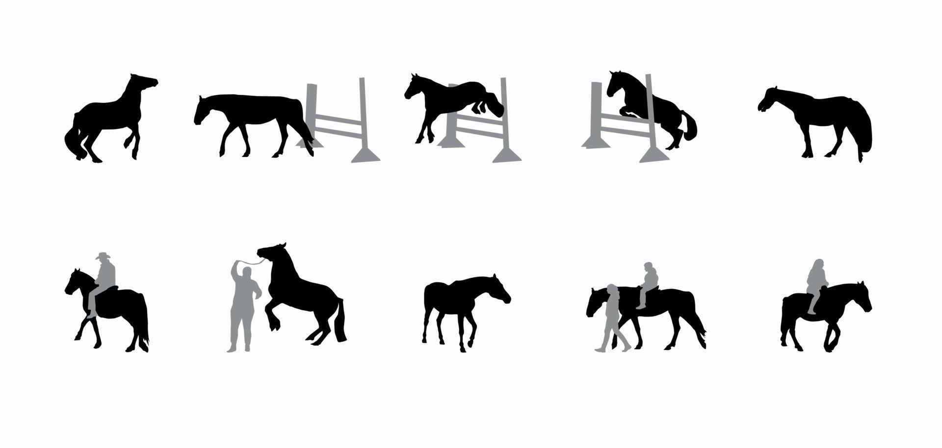 Horse with a Rider Runs, Hops, Gallops. vector