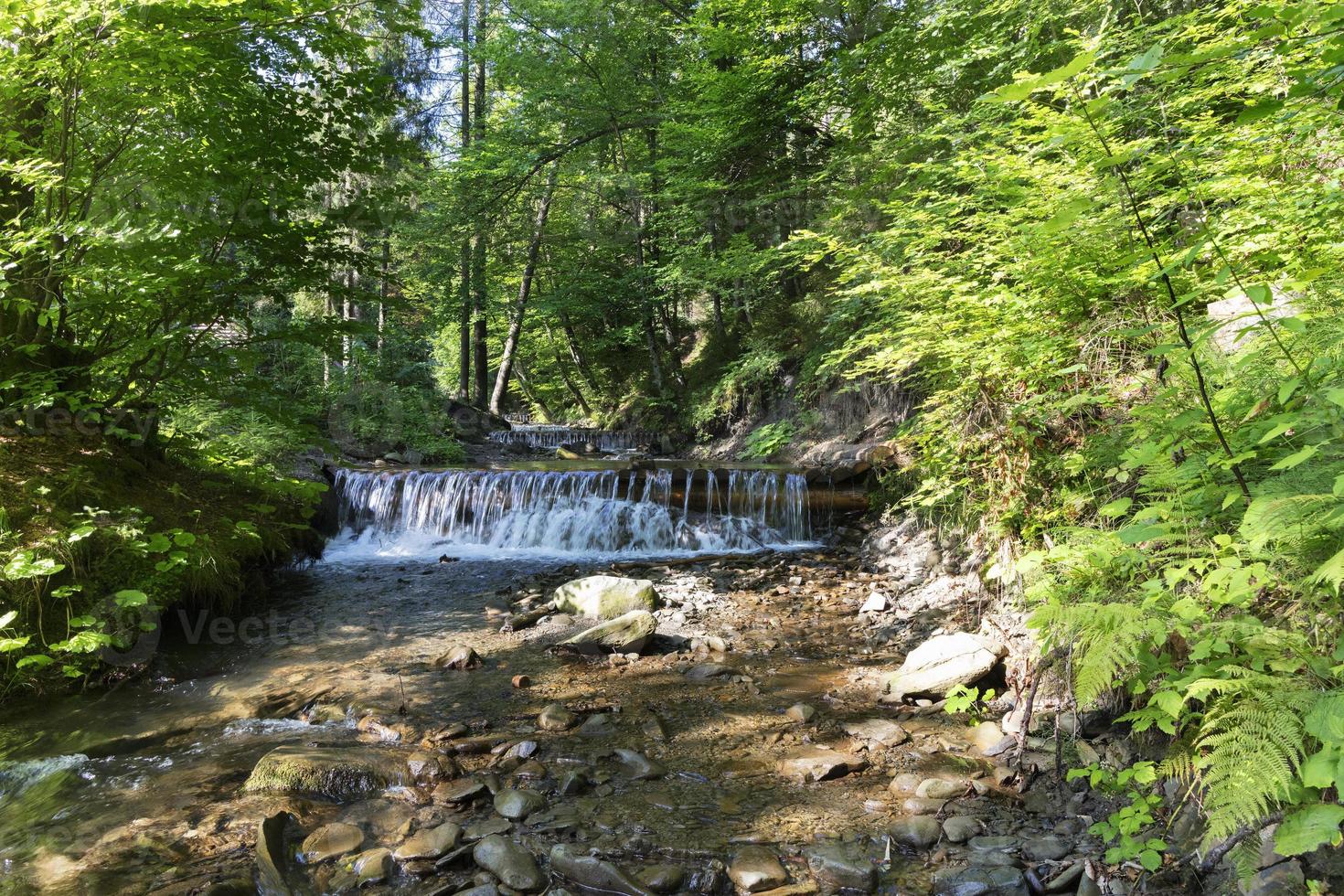 Cascading waterfall of a mountain stream in the Carpathians photo