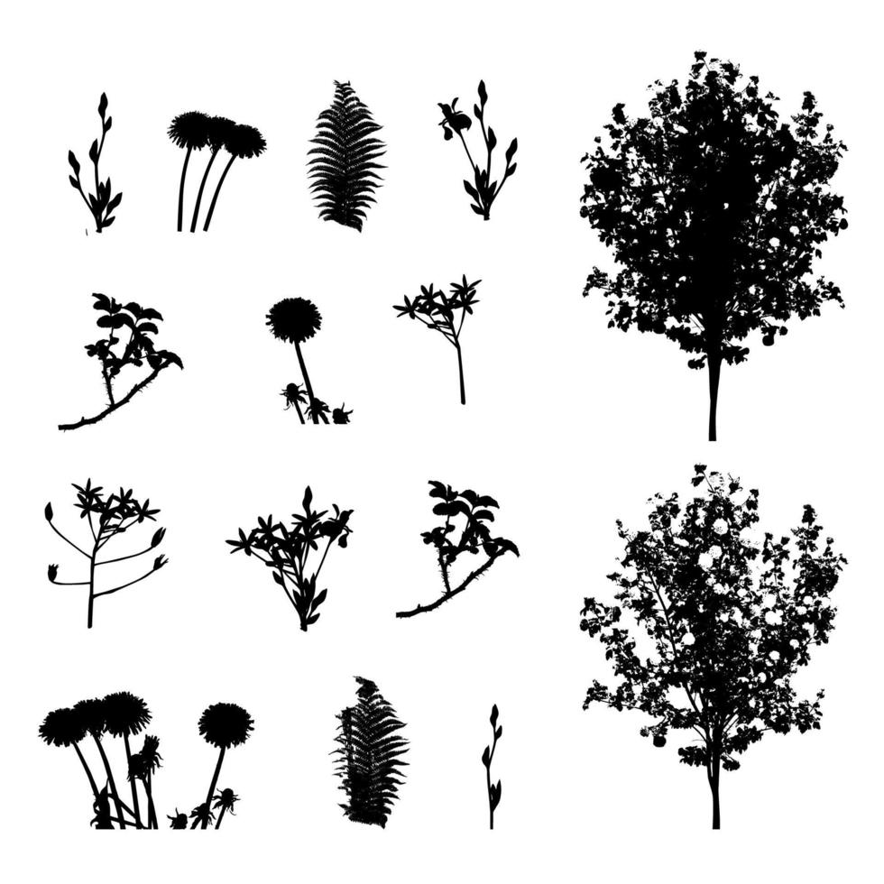 conjunto de plantas, árboles, elementos de follaje silueta vector illustrat