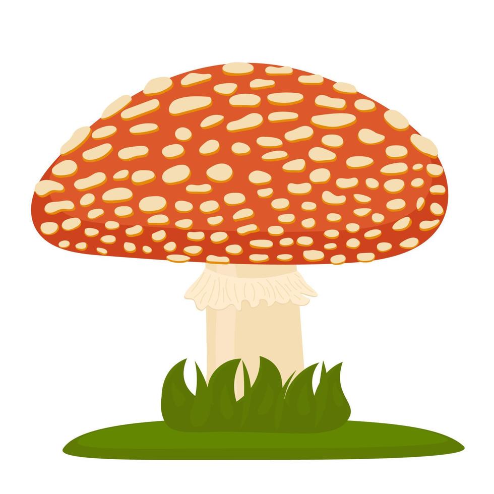 Red Spotted Mushroom. vector