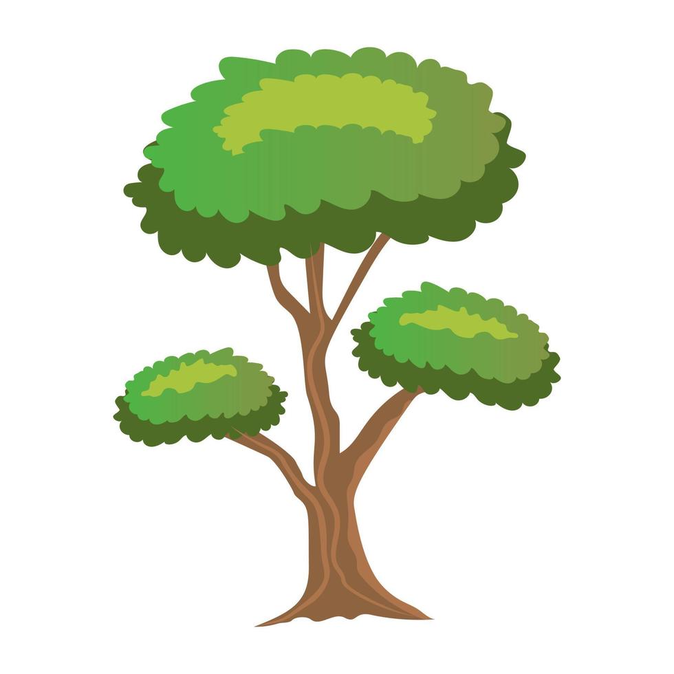 conceptos de pinus bonsai vector