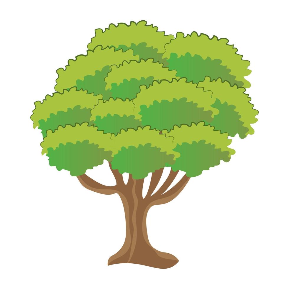 Horse Chestnut Tree vector