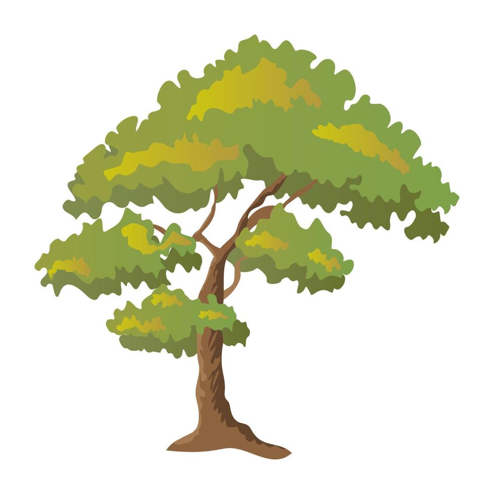 Oak Tree Concepts vector