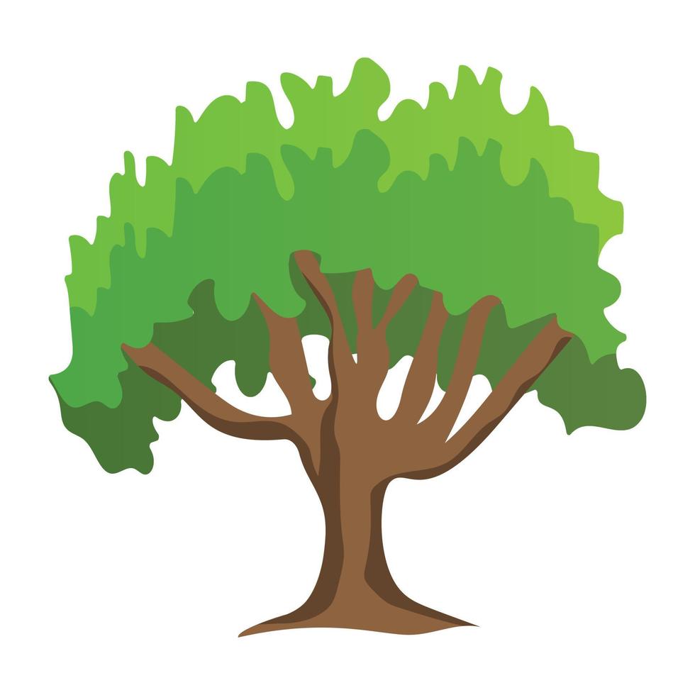 conceptos de árbol de haya vector