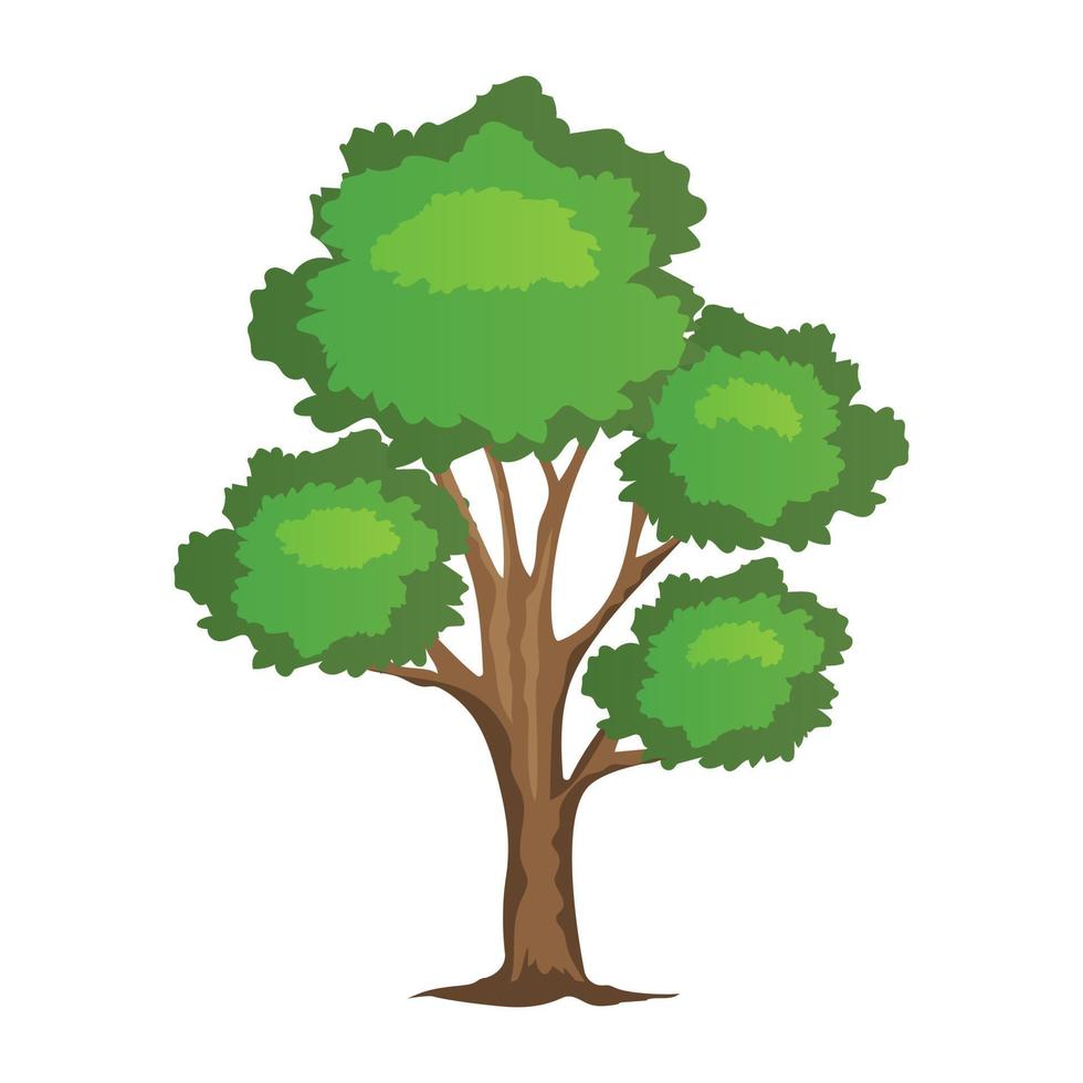 Chestnut Tree Concepts vector
