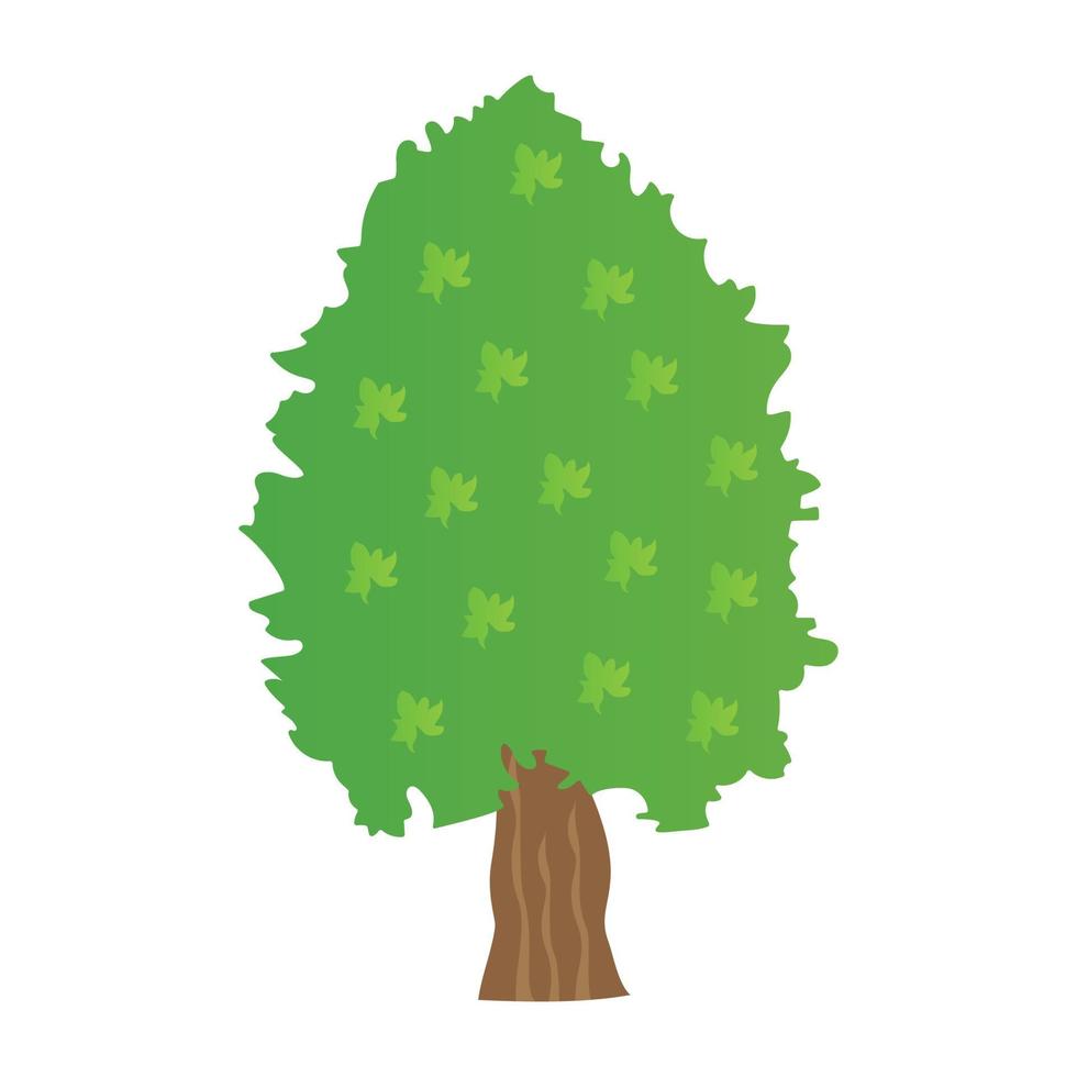Cedar Tree Concepts vector