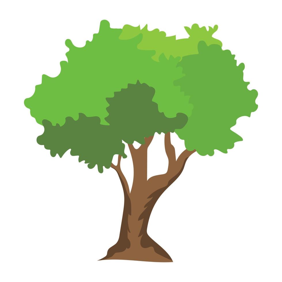 Walnut Tree Concepts vector