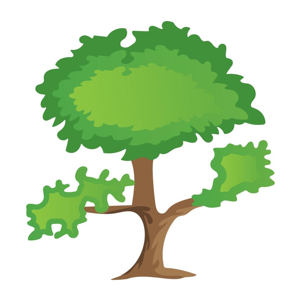 conceptos de pinus bonsai vector