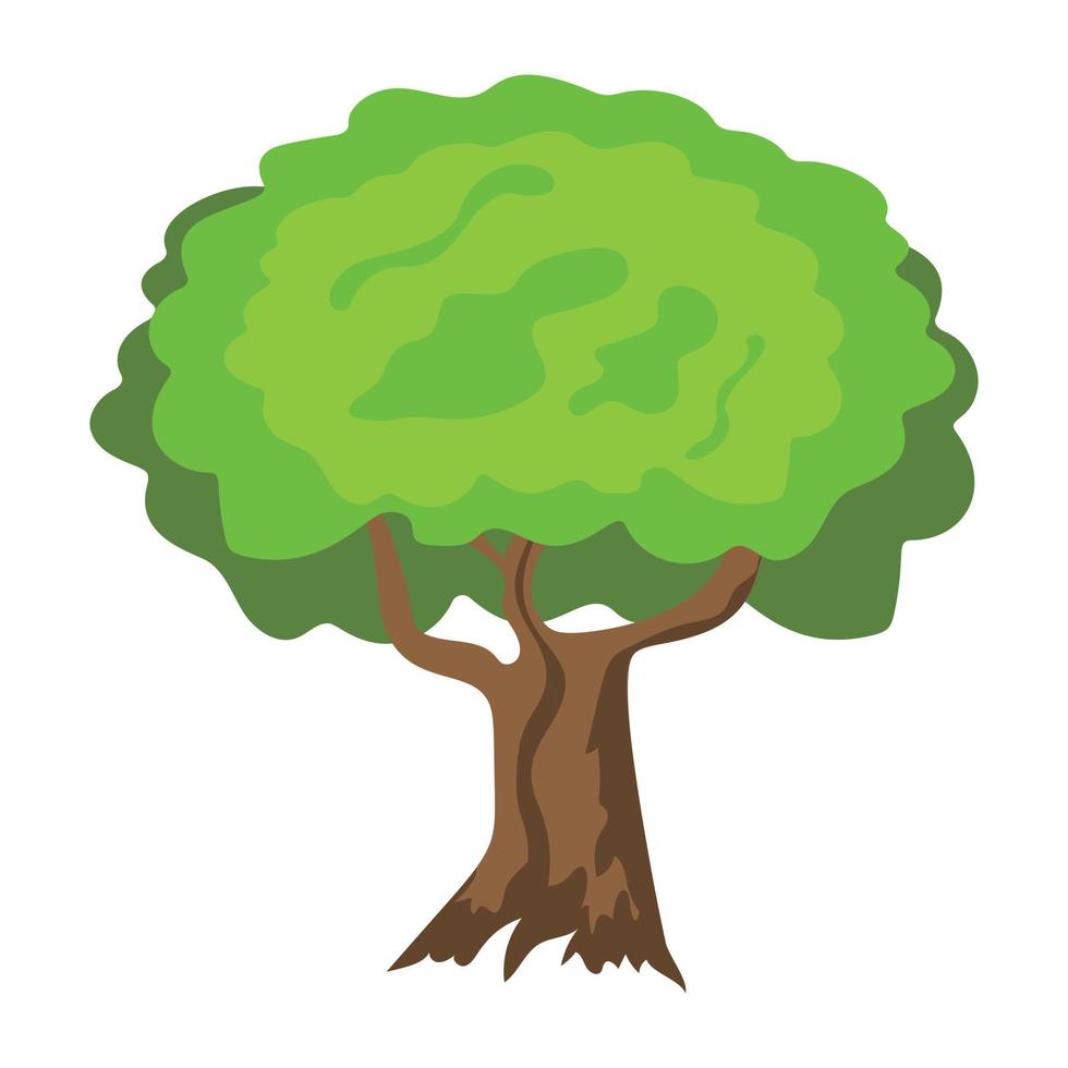 American Elm Concepts vector