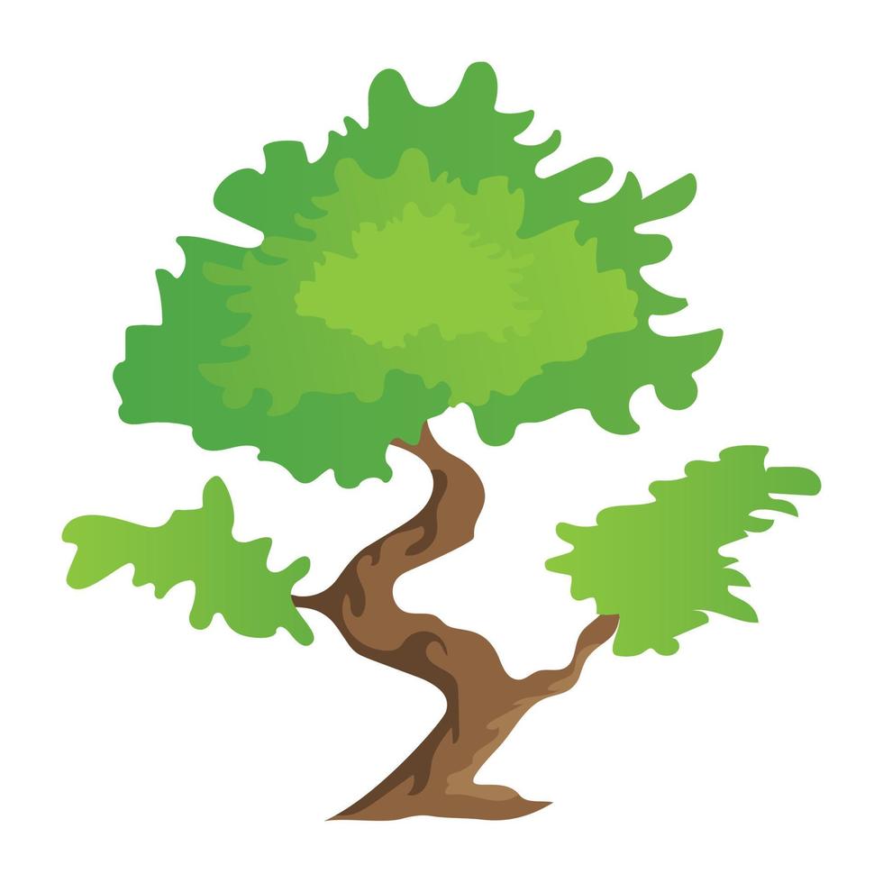 conceptos de árbol bonsai vector