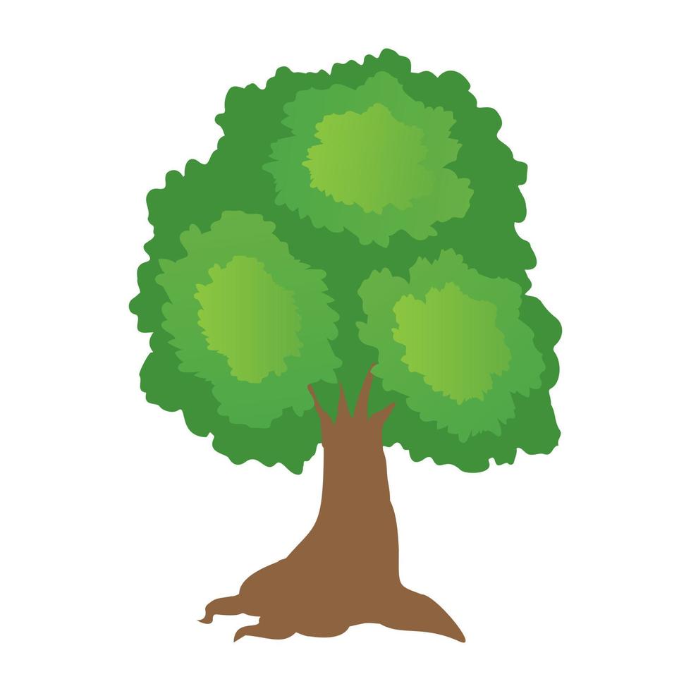 Oak Tree Concepts vector