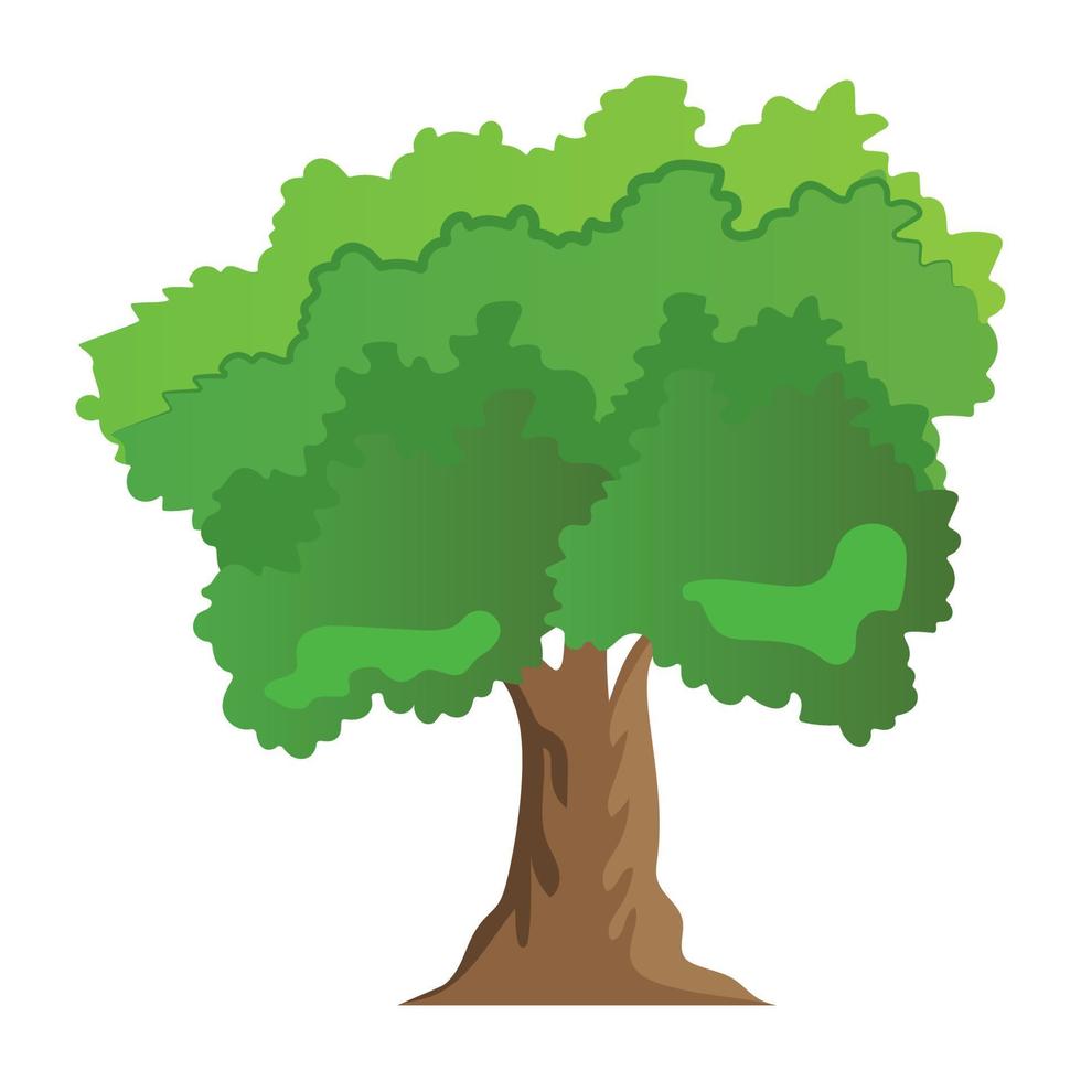 conceptos de árbol sicomoro vector