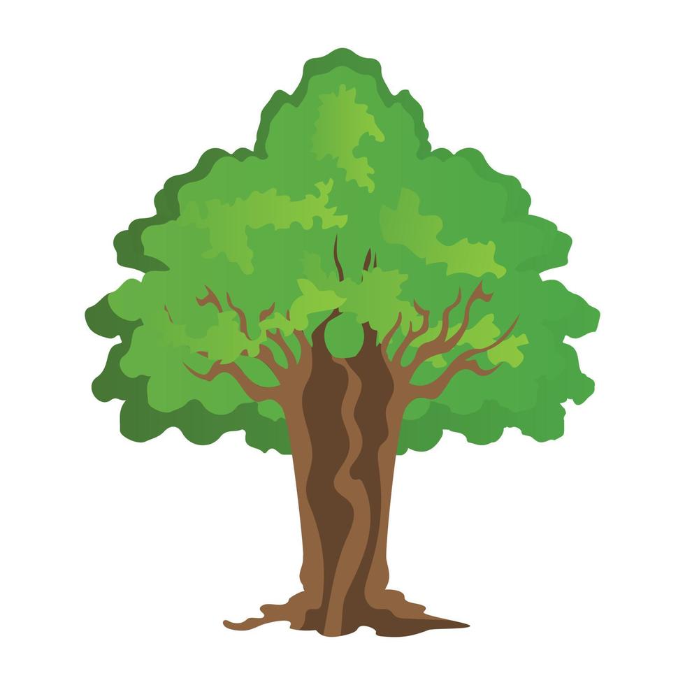 conceptos del árbol de sasafrás vector