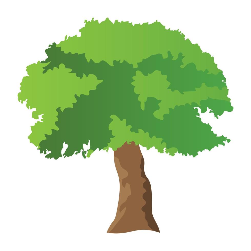 Basswood Tree Concepts vector