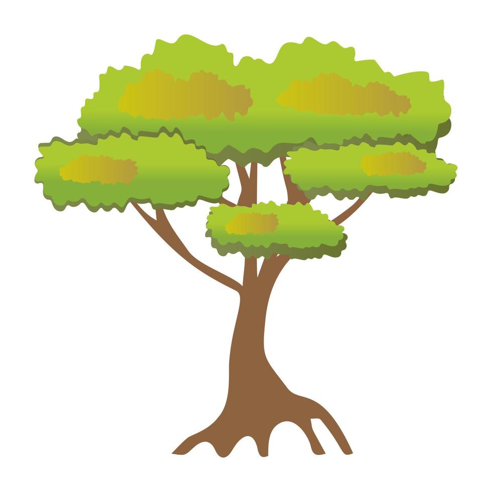 conceptos de pinus bonsai vector
